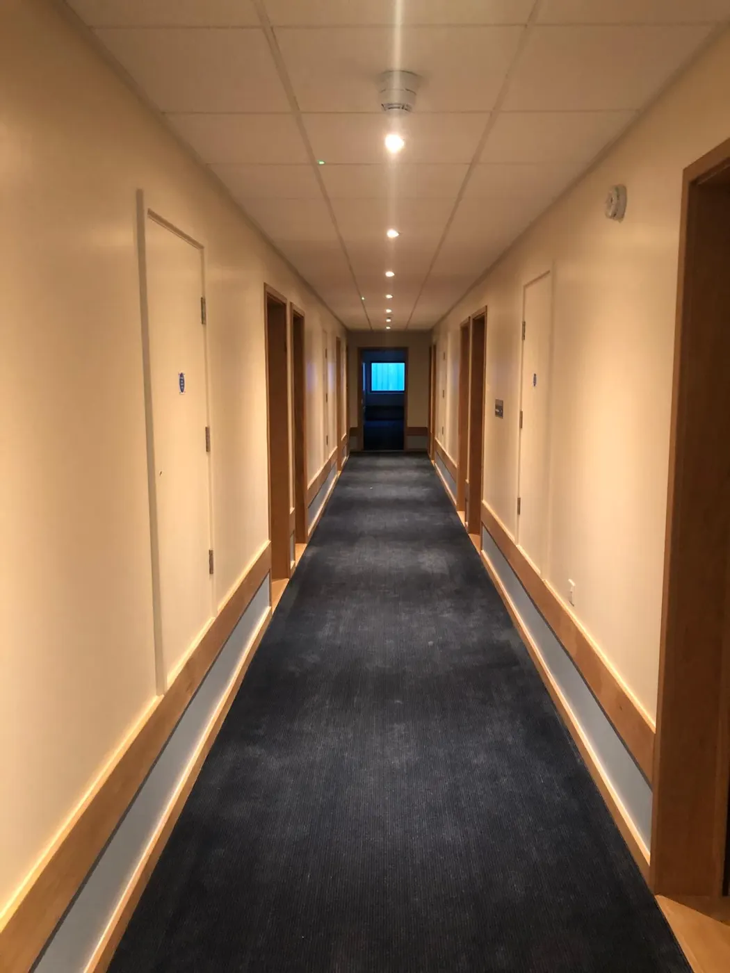 Freshly decorated corridor with new carpet